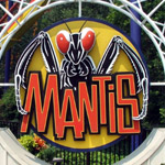 Mantis