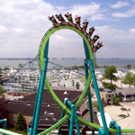 Raptor