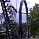 King Cobra