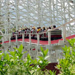 Raging Wolf Bobs