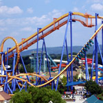 Talon