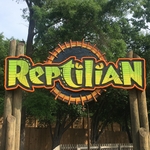 Avalanche/Reptilian