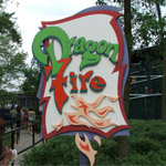Dragon Fire