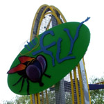 Fly