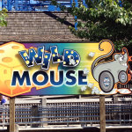 Wild Mouse