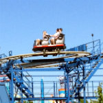 Wild Mouse