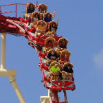 Hollywood Rip, Ride, Rockit