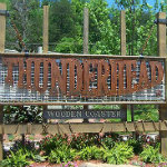 Thunderhead
