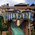 Wild Eagle