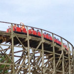 Timber Wolf