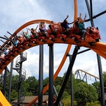 Jersey Devil Coaster