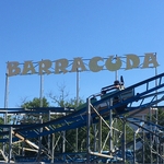 Barracuda