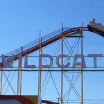 Wildcat