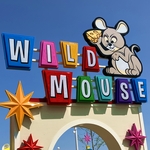 Wild Mouse