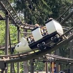 Wild Mouse