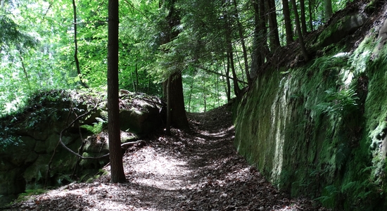Wahkeena Nature Preserve