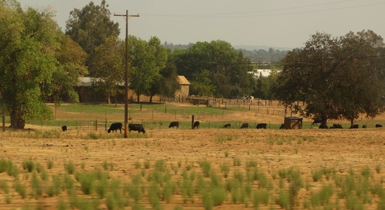 Ranch
