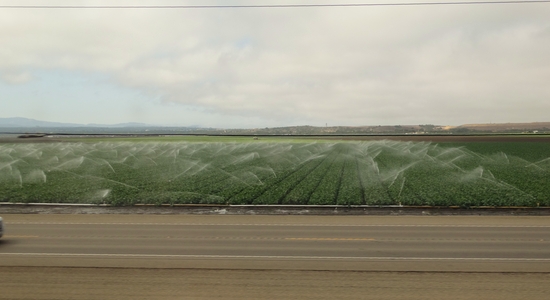 Coyote Valley