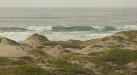 Pacific Coast