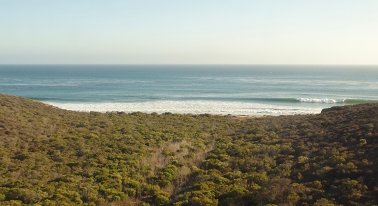 Pacific Coast