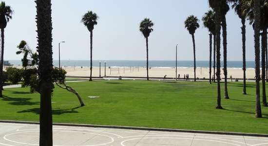 Venice Beach