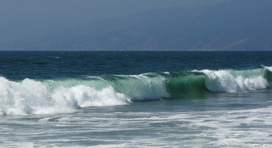 Venice Beach