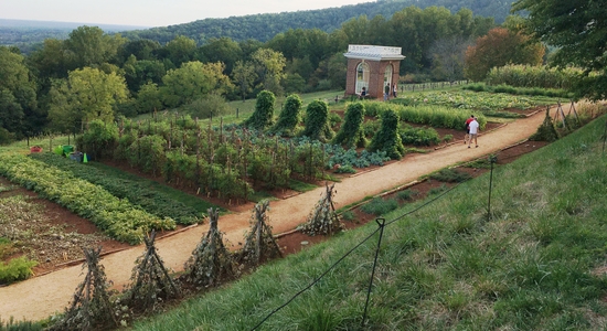 Mulberry Row