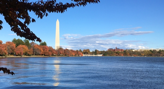 Tidal Basin