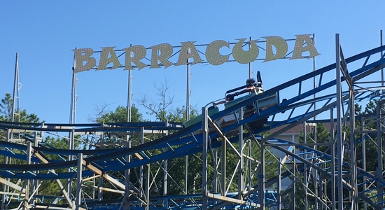 Barracuda