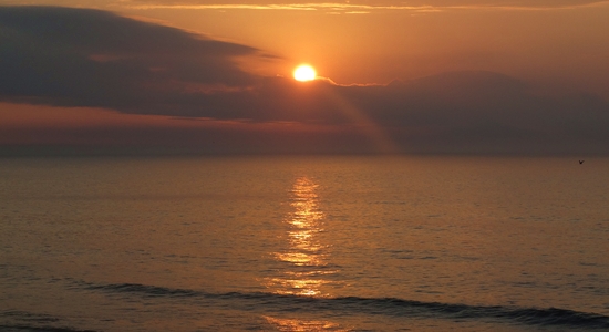 Sunrise