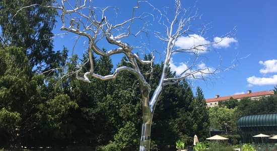 National Gallery of Art Sculpture Garden