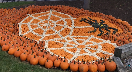 Pumpkin Hollow