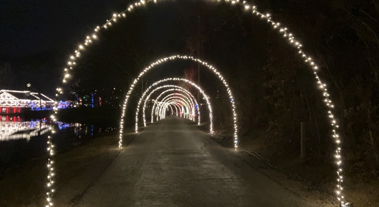 Alley Park