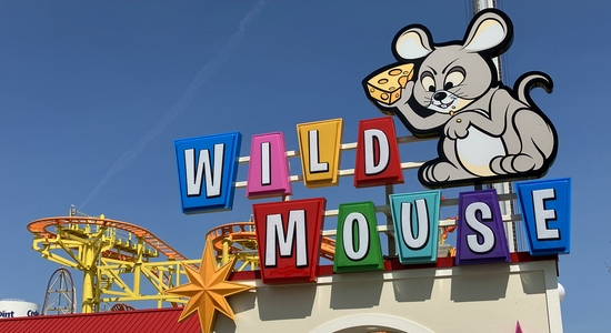 Wild Mouse