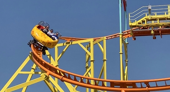 Wild Mouse