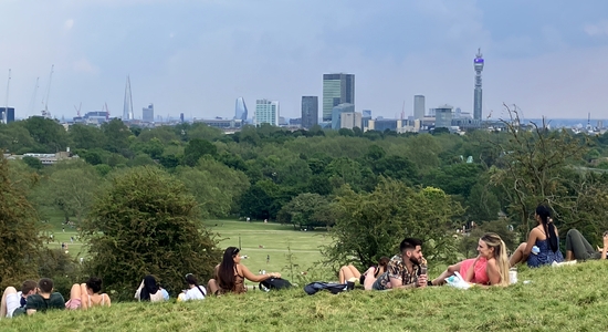 Primrose Hill