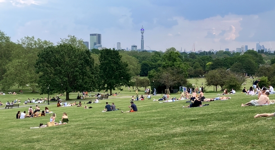 Primrose Hill