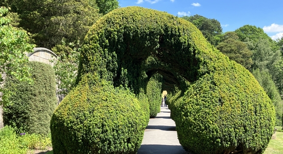 The Gardens