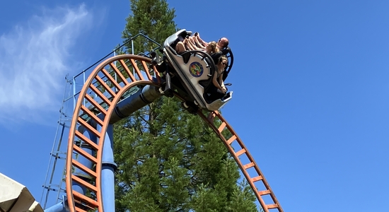 Spinball Whizzer