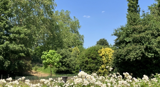 Battersea Park