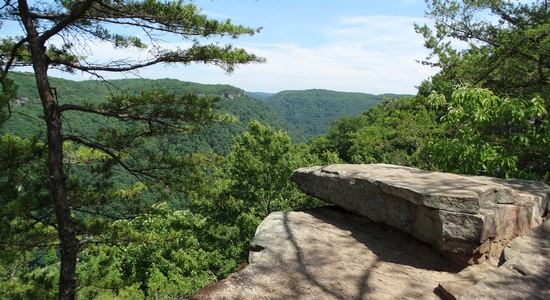 New River Gorge