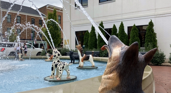 Dog Fountain