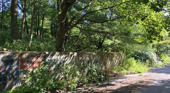 Centralia