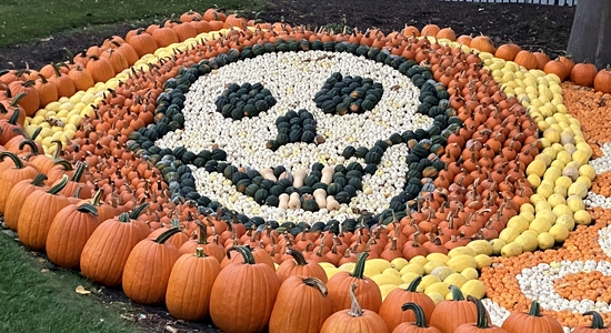Pumpkin Hollow