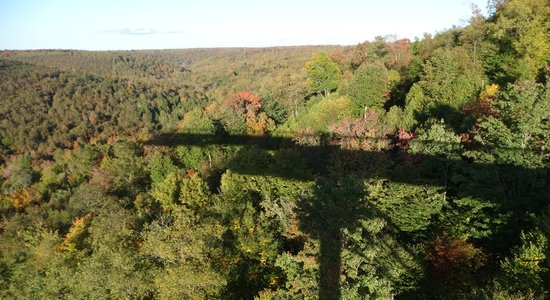 Kinzua Bridge