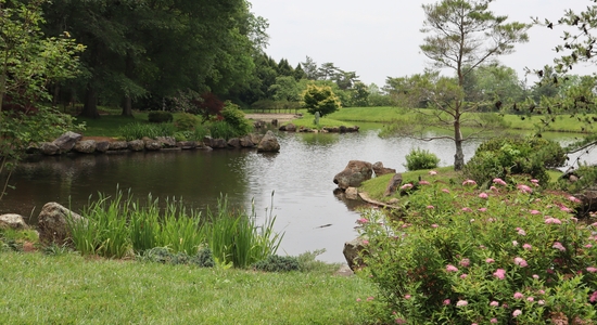 Japanese Garden