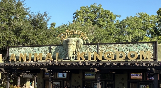Disney's Animal Kingdom