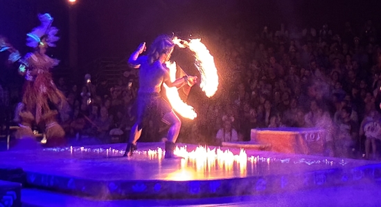 Festival of the Lion King