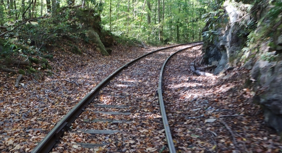 Rail Explorers