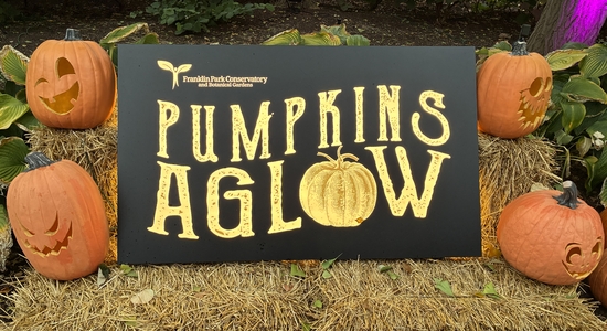 Pumpkins Aglow